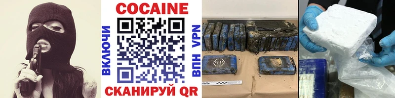 Купить закладки  Петровск-Забайкальский  Кокаин 99% 
