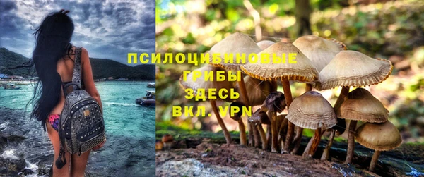 ешки Богородицк