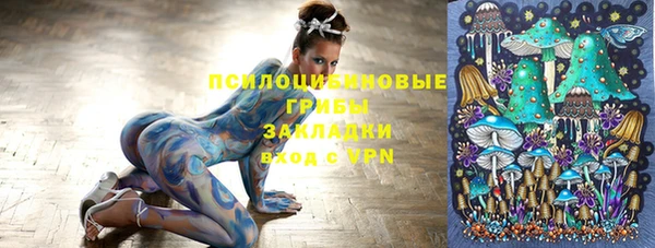 ешки Богородицк
