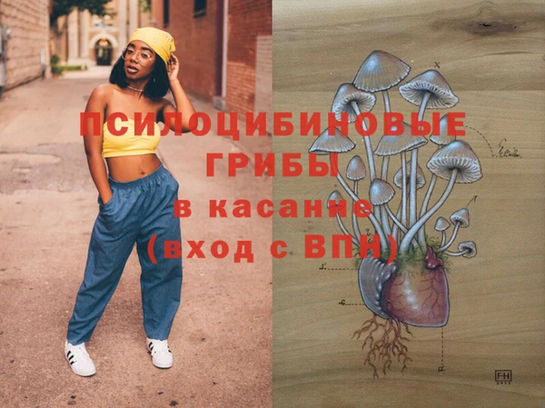 ешки Богородицк