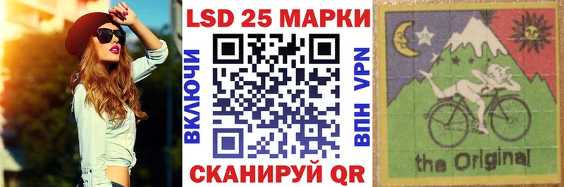Купить закладки  Петровск-Забайкальский  Марки N-bome 1,8мг 