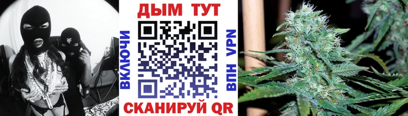 Купить где  Петровск-Забайкальский  Марихуана Amnesia 